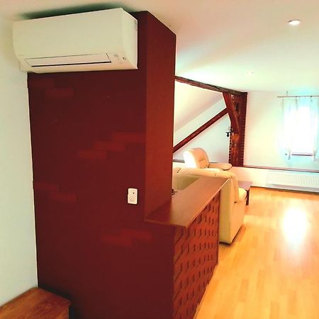 Apartman Penelope Žatec Esterno foto