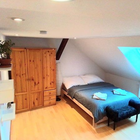 Apartman Penelope Žatec Esterno foto