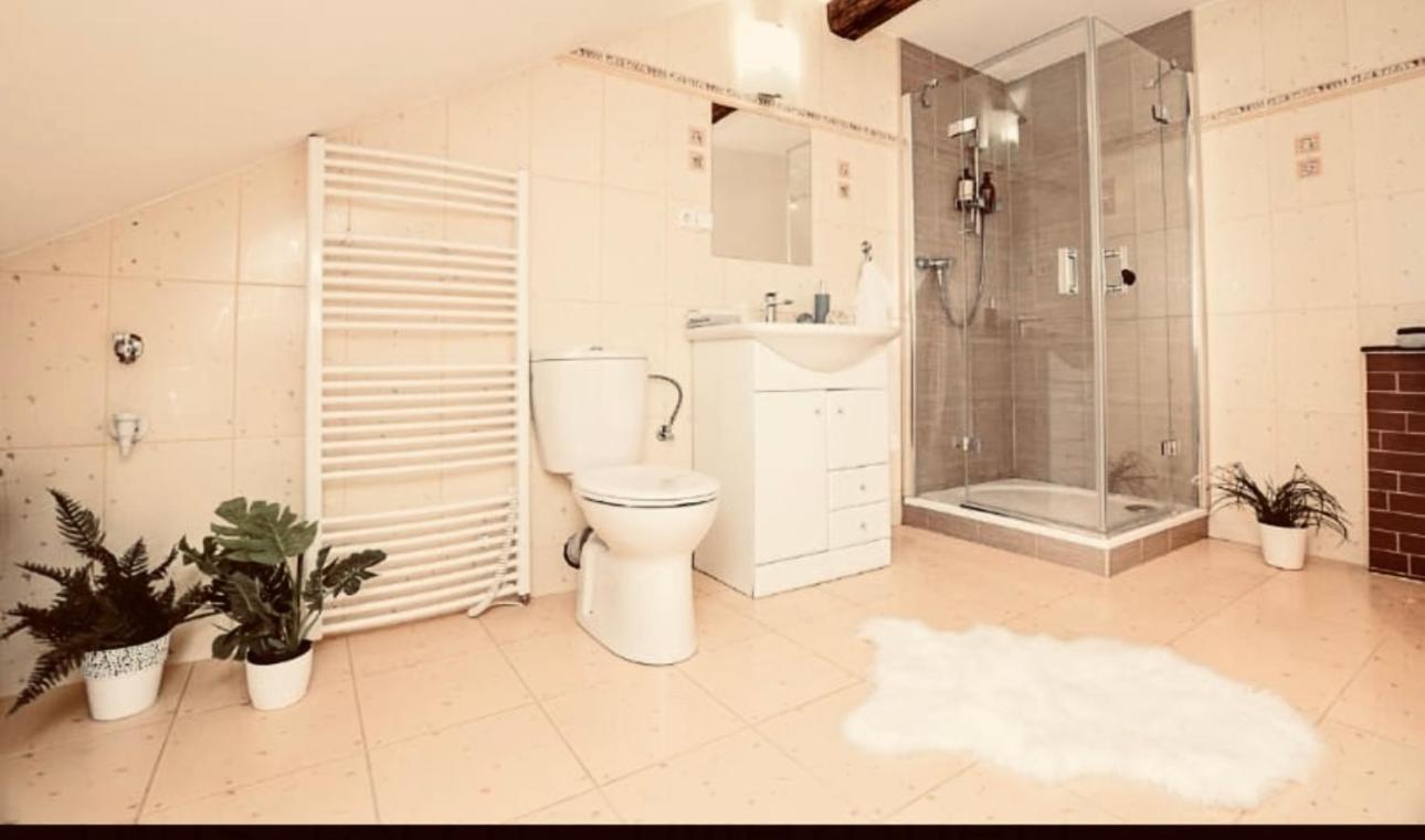 Apartman Penelope Žatec Esterno foto